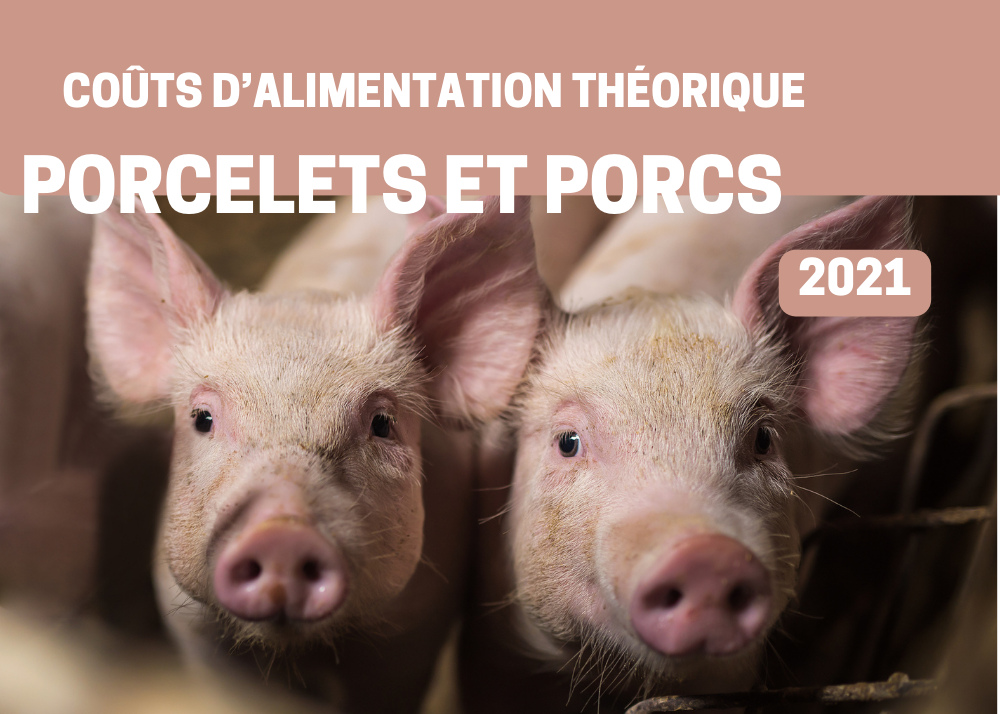 Informations complémentaires : COÛTS D'ALIMENTATION THÉORIQUE - PORCS 2021